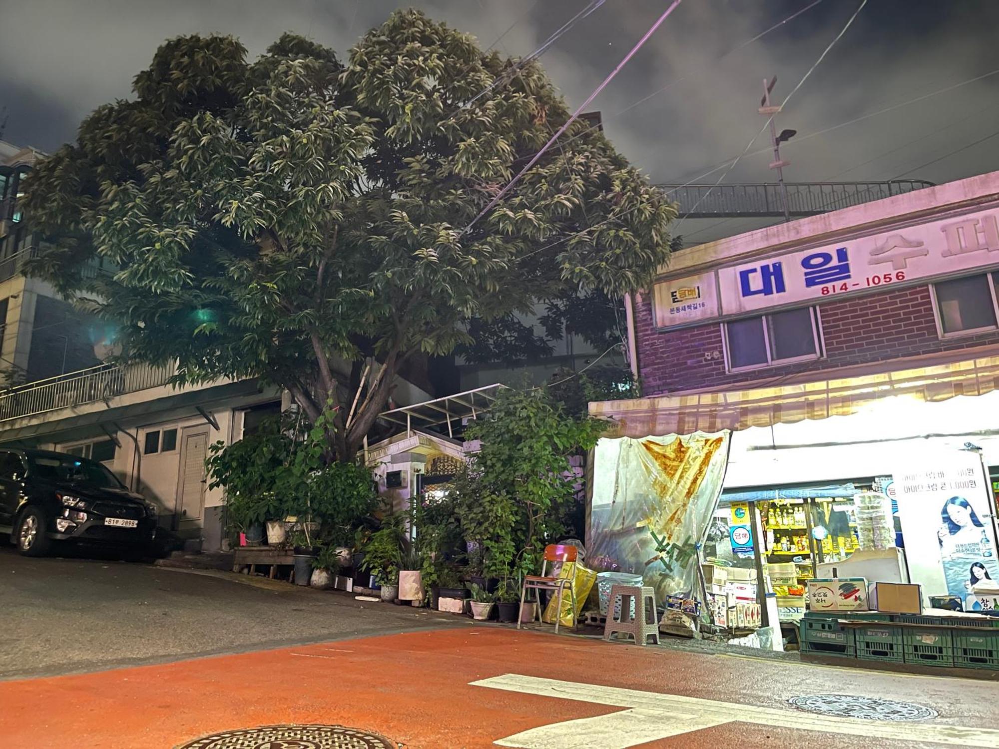 Hhzib, Homestay On A Hill In The Heart Of Seoul - 'Best Seoul Stay 2024' By Сеул Экстерьер фото